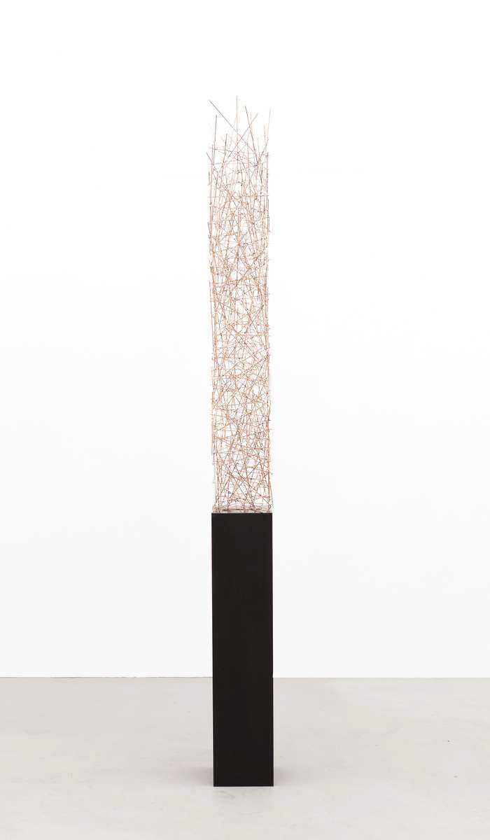 Timo Nasseri, Drill Core #6_99, 2013