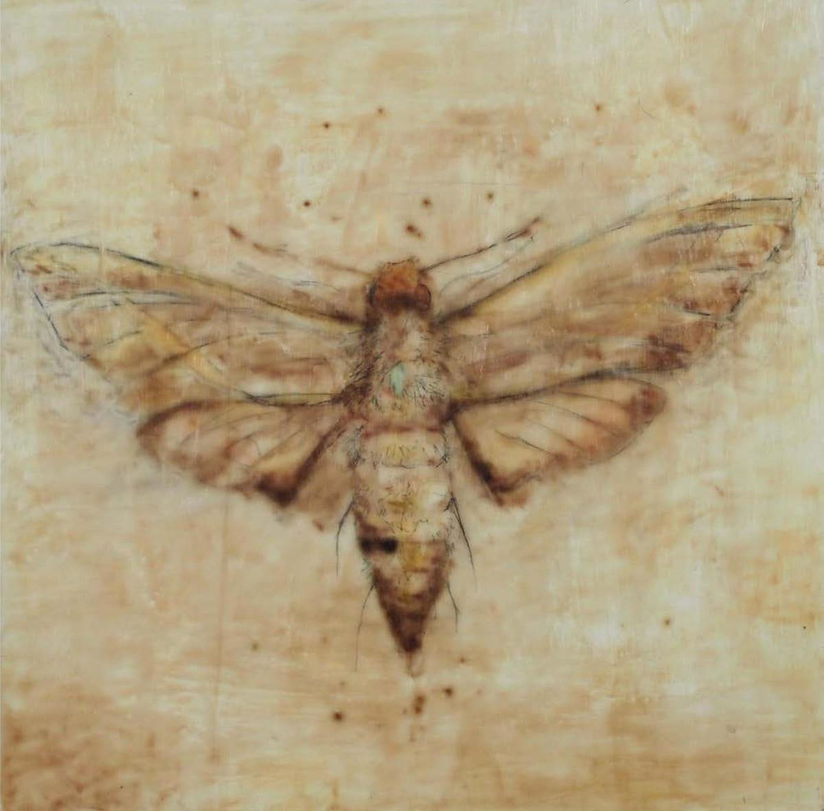 Avish Khebrehzadeh, Uncertainty 3, 2014