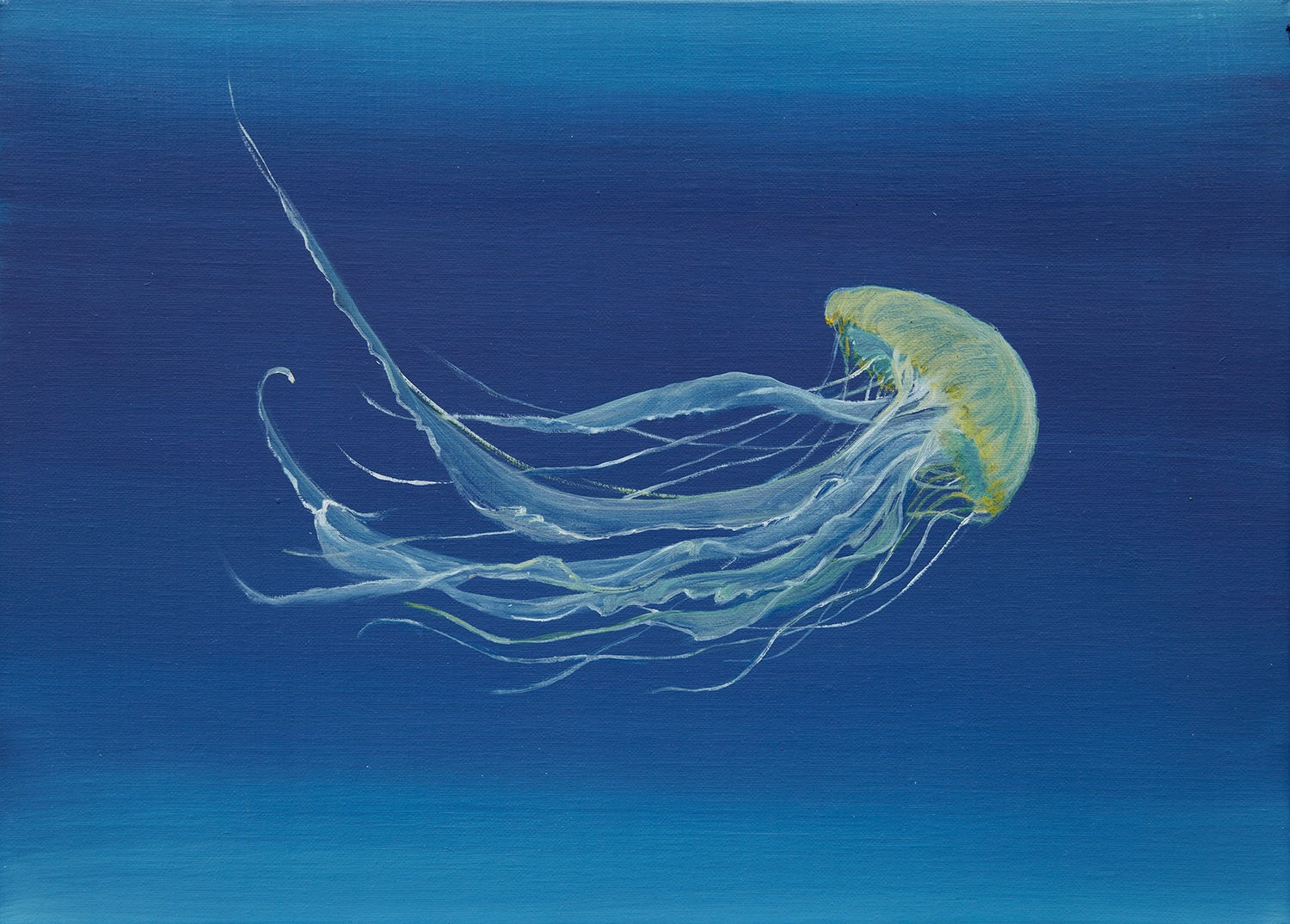 Abby Leigh, Jellyfish 4, 2023