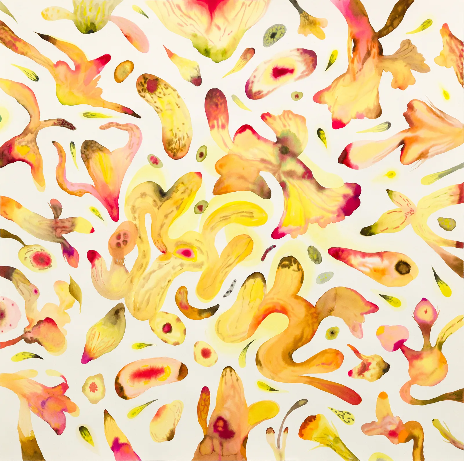 Isabella Nazzarri, Innesti #70, 2016