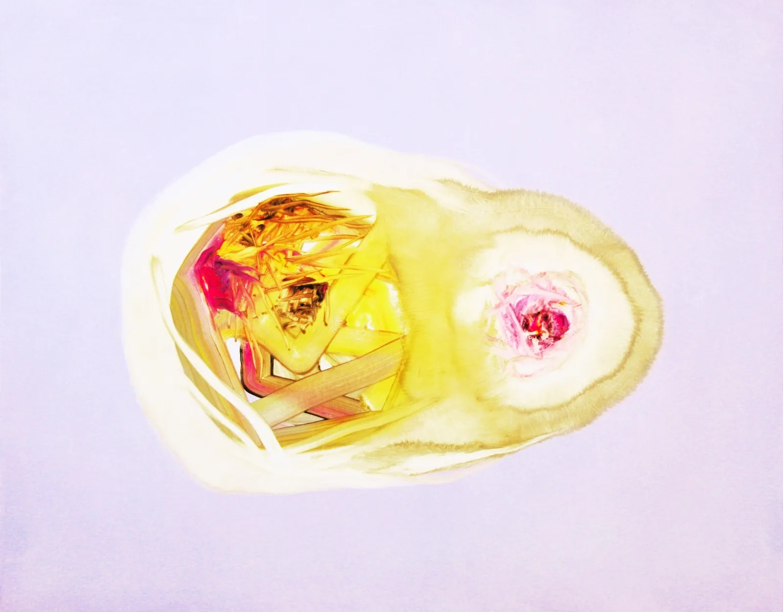 Isabella Nazzarri, Sistema Innaturale #32, 2016