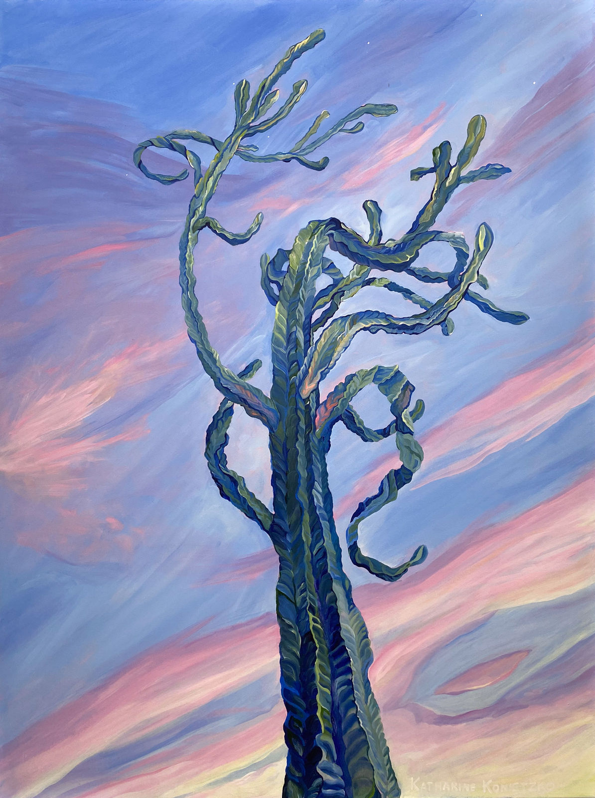 Katharine Konietzko, My Cactus, 2022