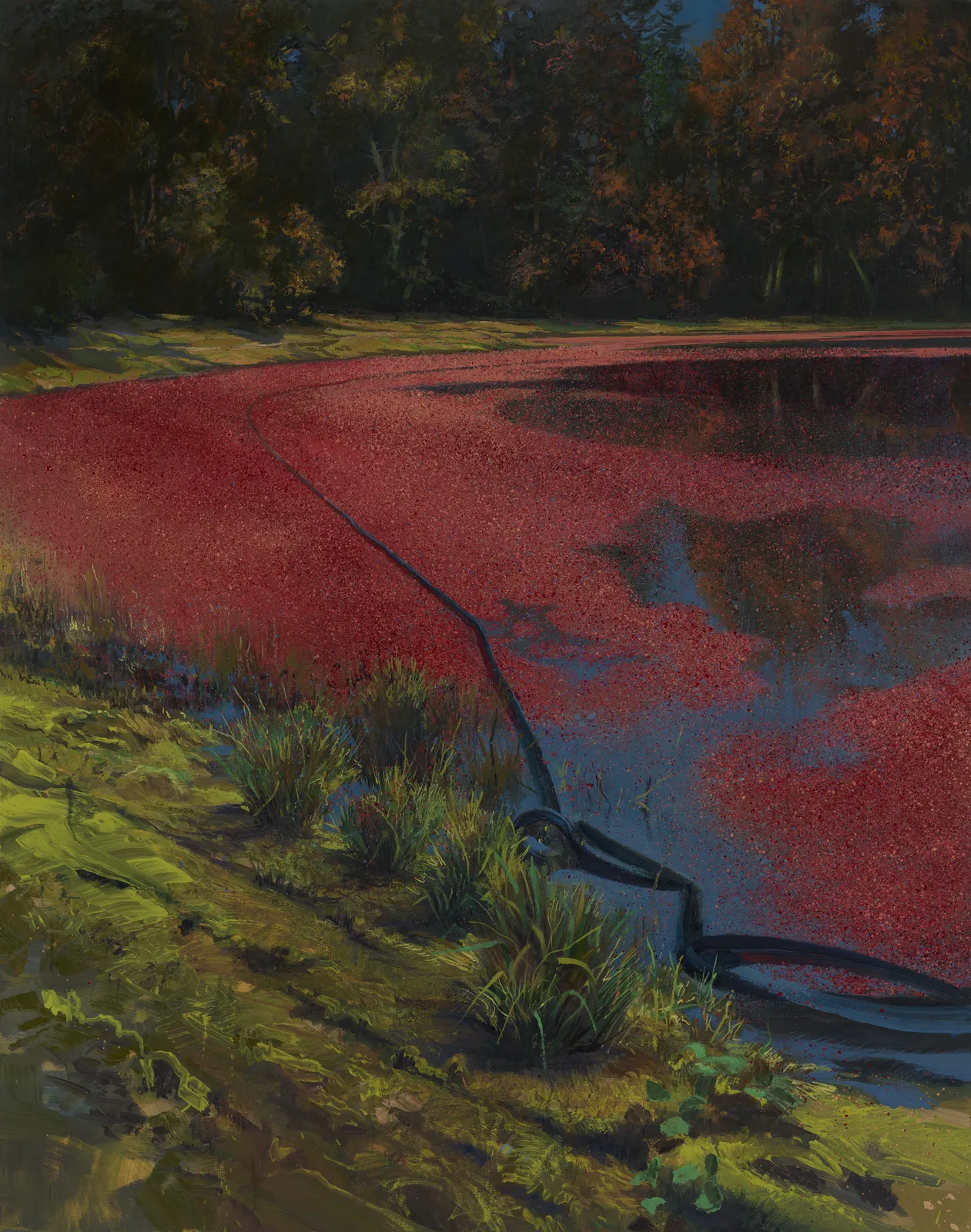 Wilhelm Neusser, Bog (#2606), 2026