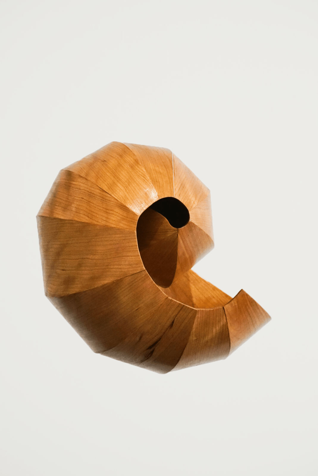 Alison Croney Moses, Cherry Shell Large, 2023