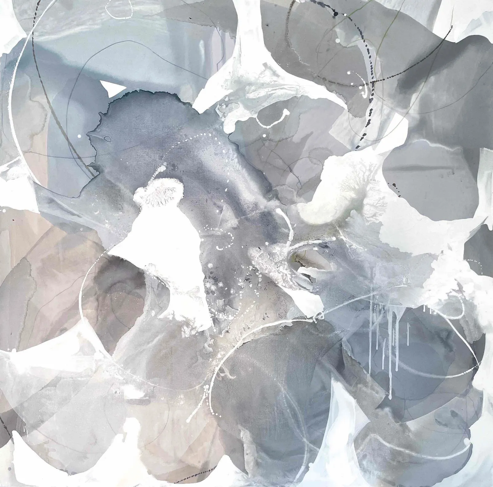 Liz Barber, Dream Petals