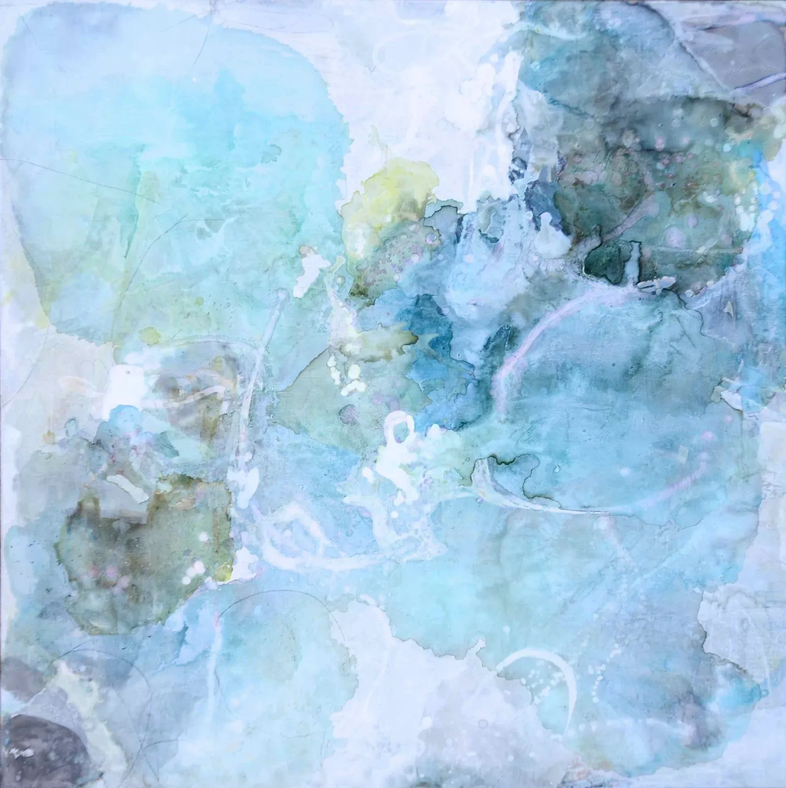 Liz Barber, Spring 7