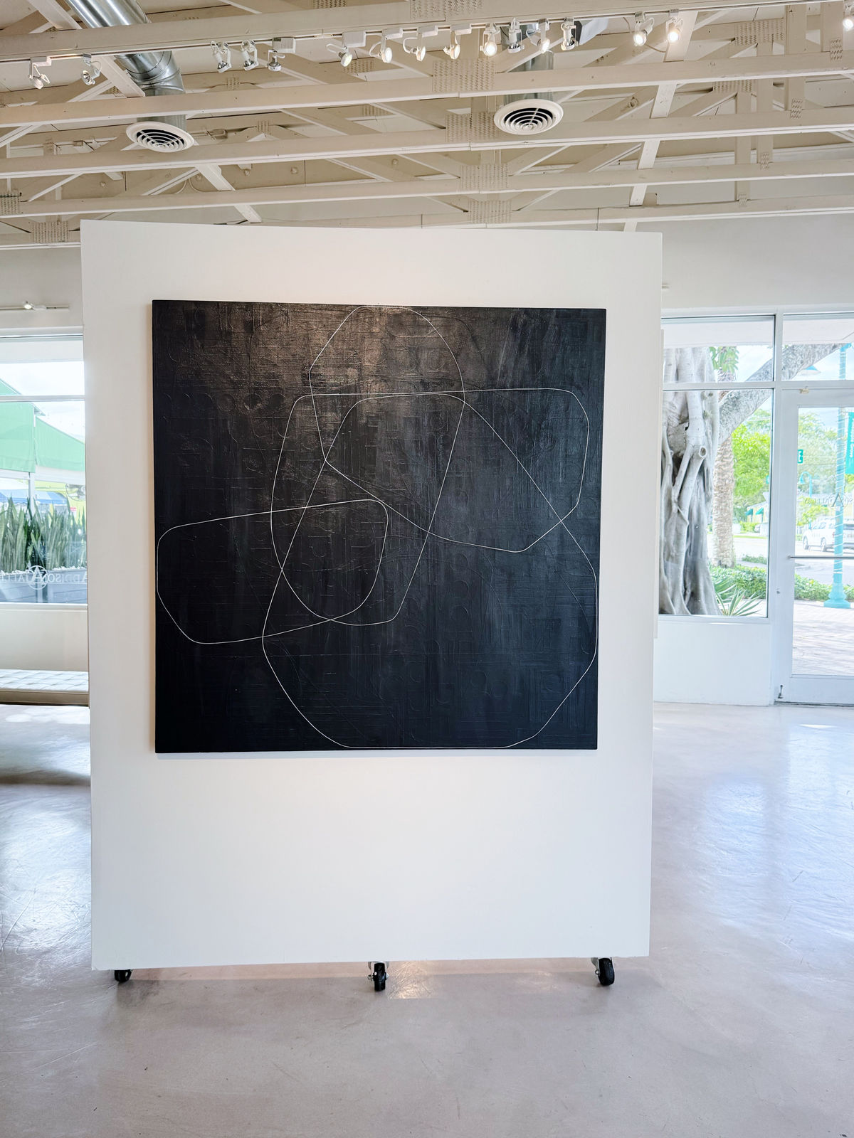 Maura Segal, Sardine