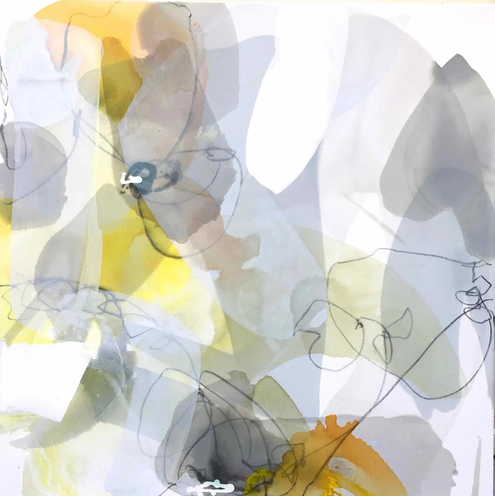 Liz Barber, Shadow Petals 10