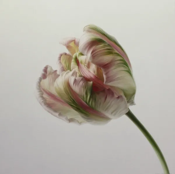 Igor Levashov, Pink Parrot II