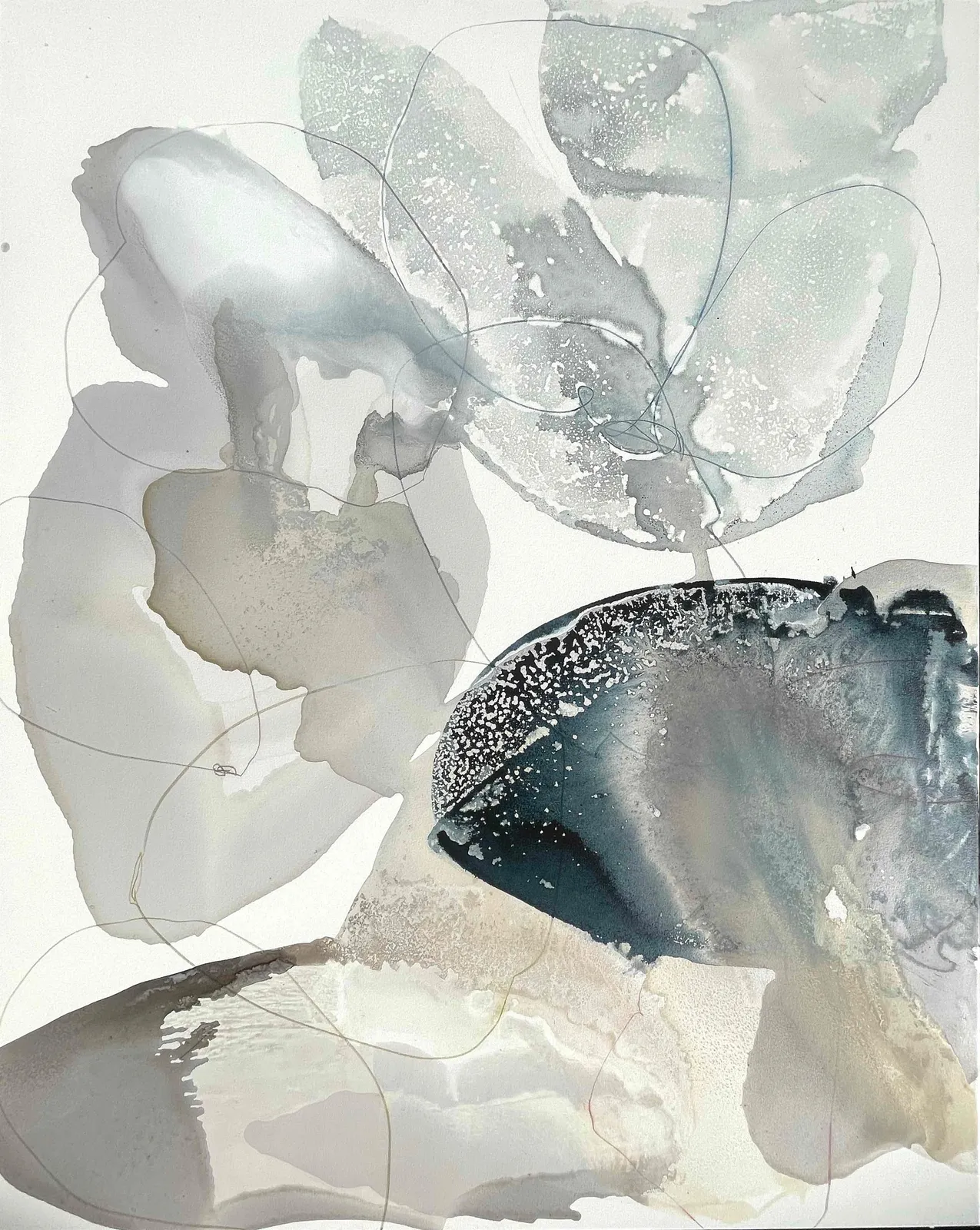 Liz Barber, Shadow Flower 1