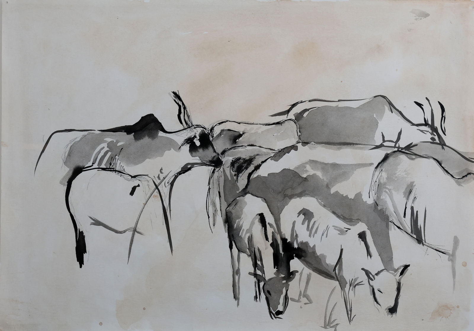 Oluwasemilore Delano,