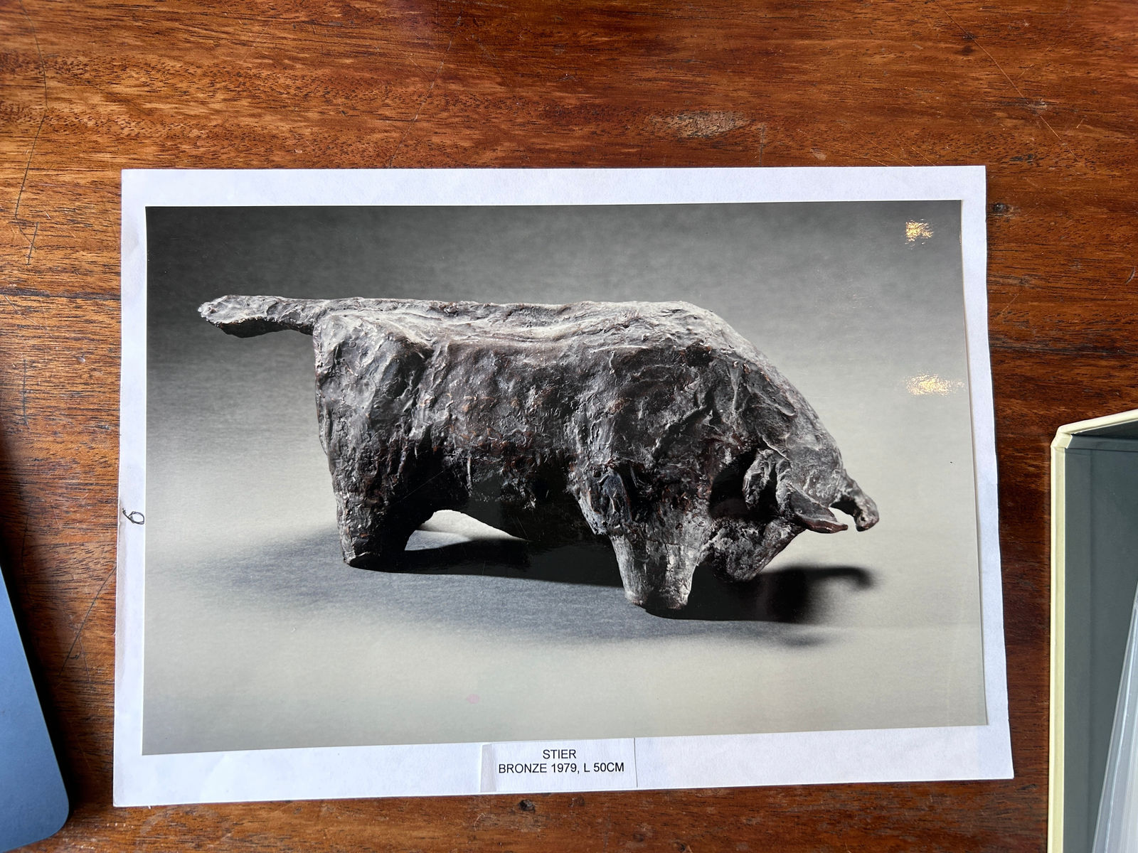 Marina Blanca, Stier, 1979