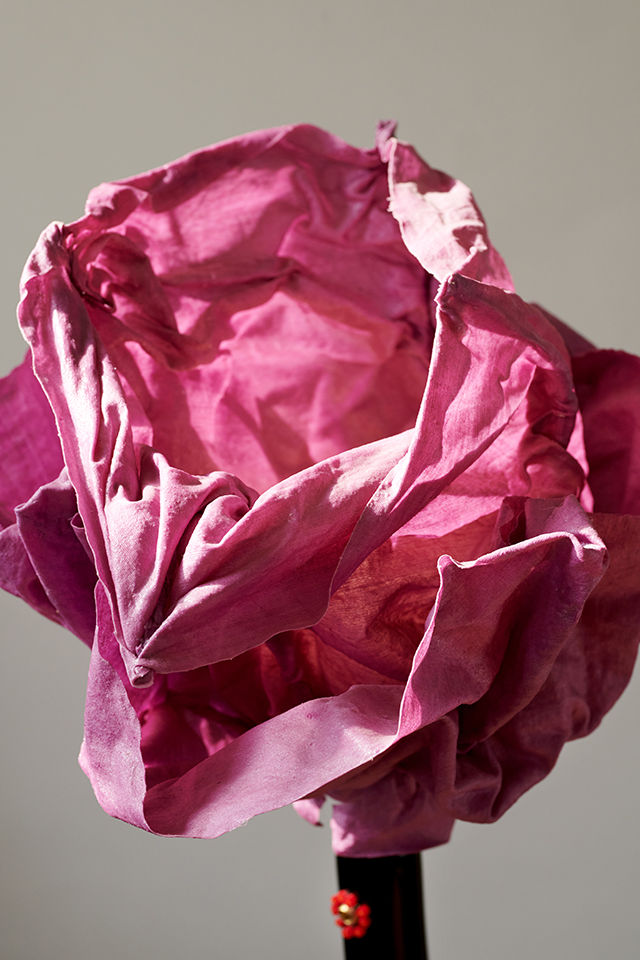 Marina Blanca, #48, 2011/2026