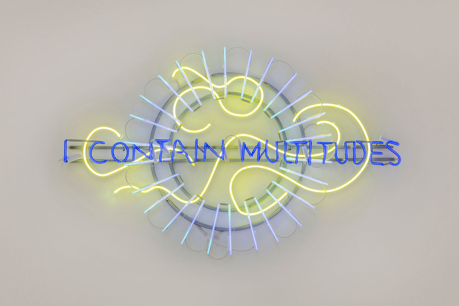 Marinella Senatore, I Contain Multitudes, 2022