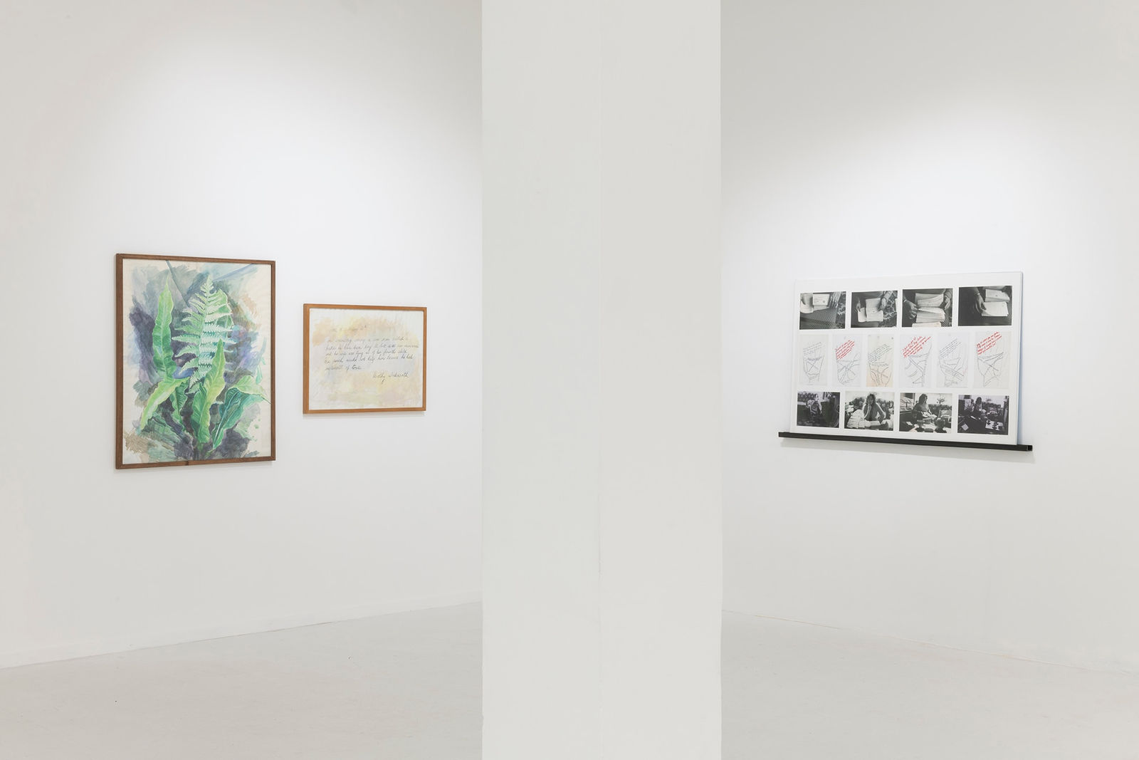 Margaret Harrison, Dorothy Wordsworth (Ferns), 1982