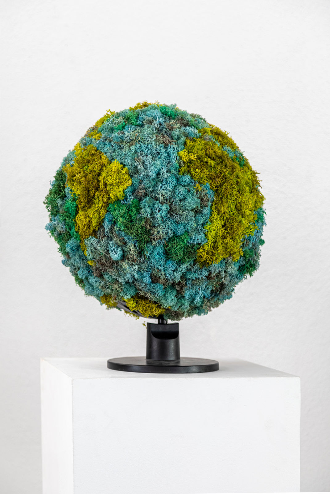 Avelino Sala, Naturaleza muerta, 2025