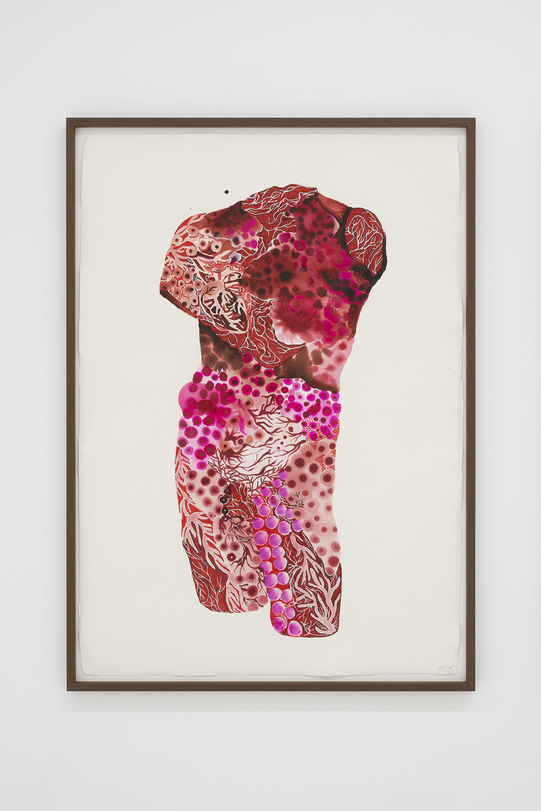 Marina Vargas, Ni animal ni tampoco ángel #10, 2026