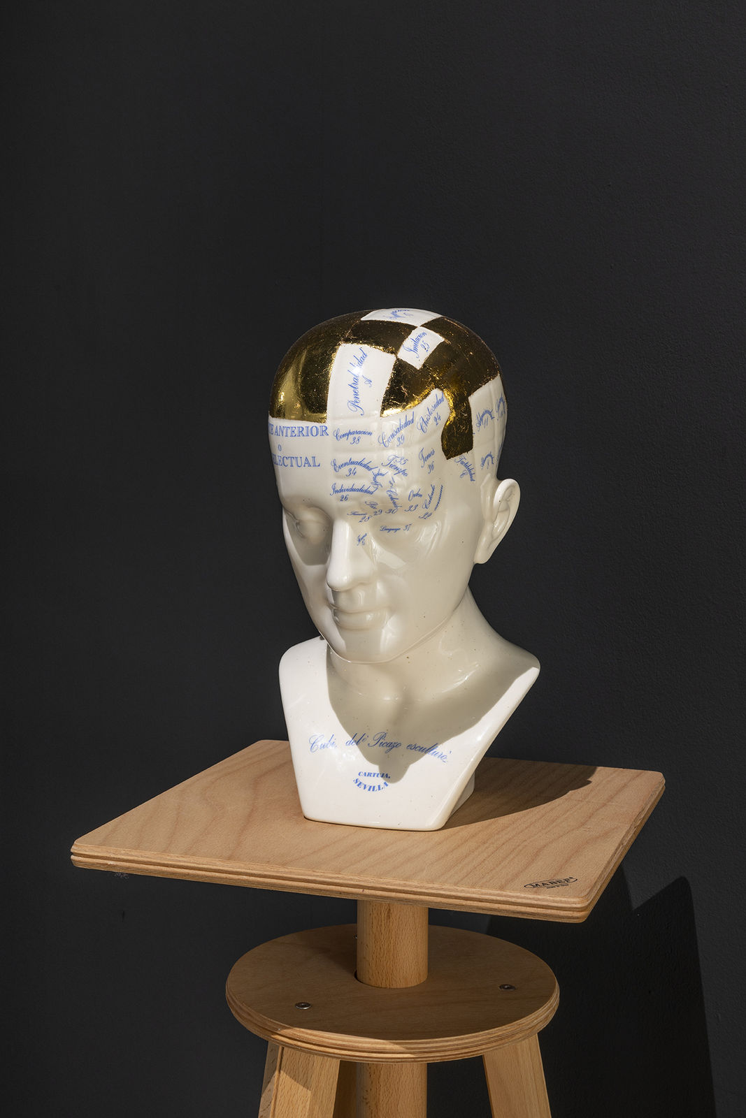 Avelino Sala, L'uomo delinquente, 2025