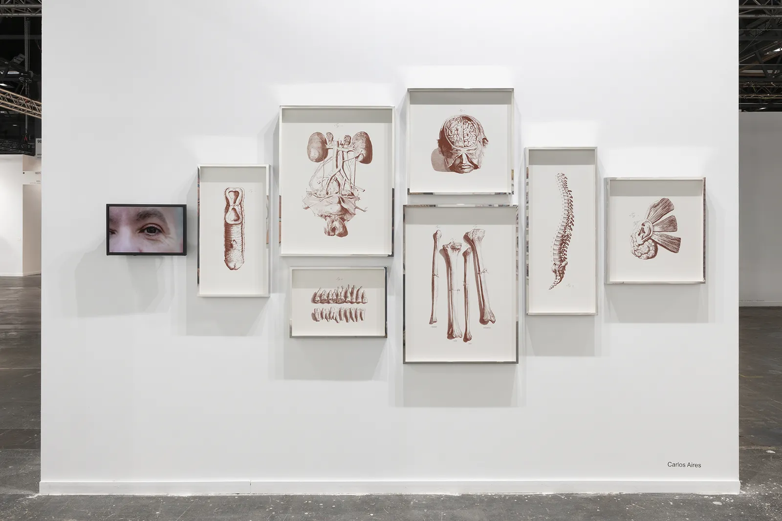 Carlos Aires, Visceral Edition, 2026