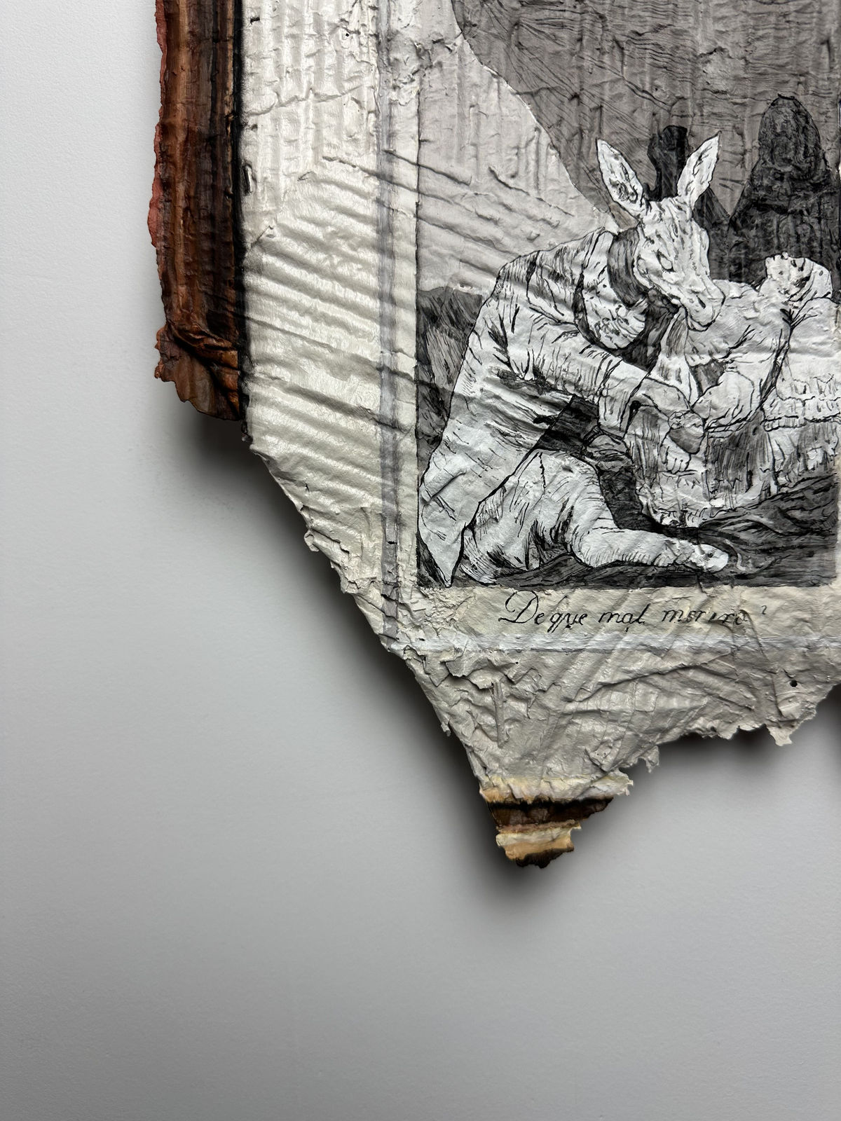 Julio Anaya Cabanding, After Francisco de Goya. Los Caprichos: ¿De qué mal morirá?, 2026