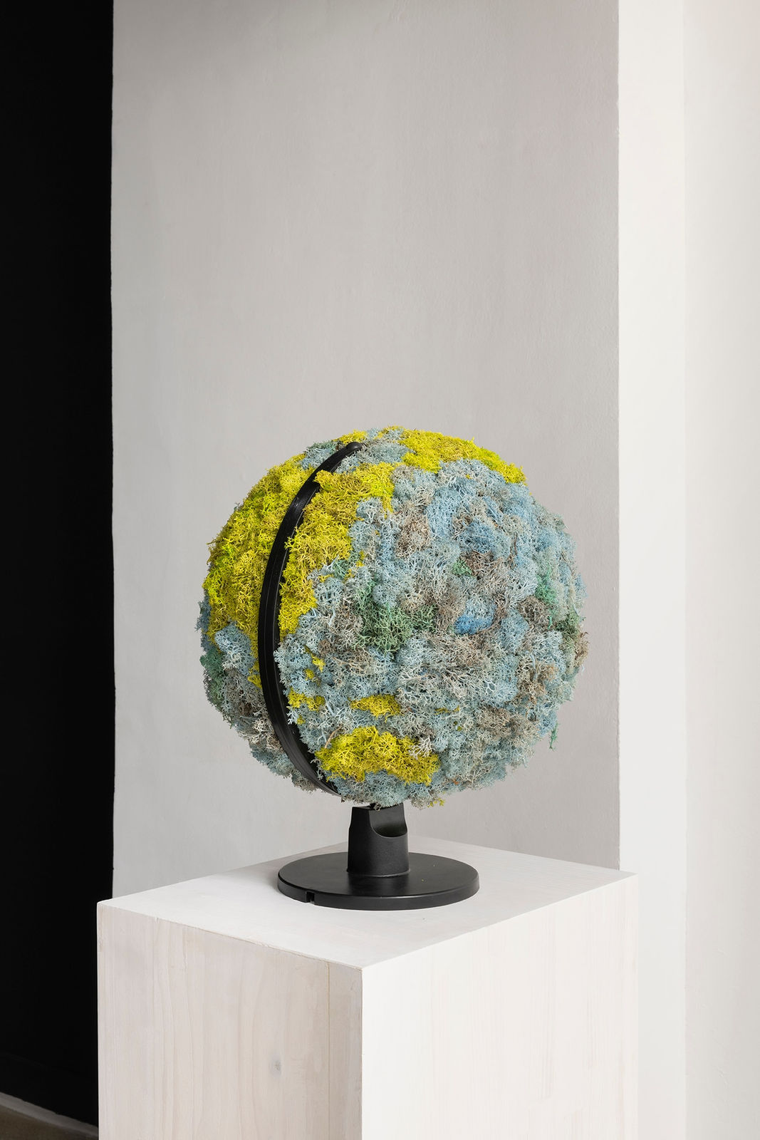 Avelino Sala, Naturaleza muerta, 2025