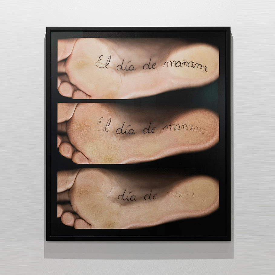 Núria Güell, Valor #1, 2007