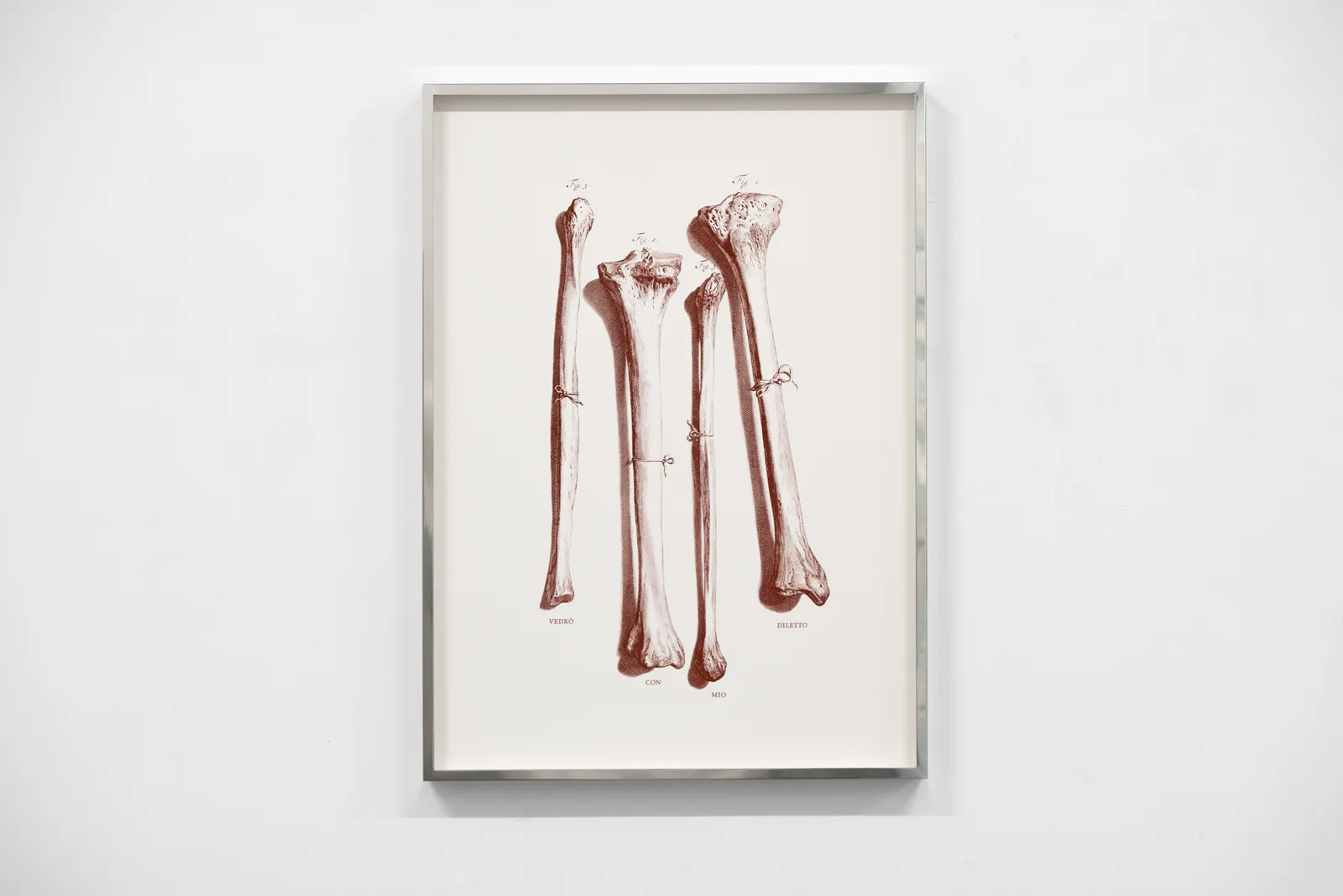 Carlos Aires, VEDRÒ CON MIO DILETTO (VISCERAL EDITION), 2026