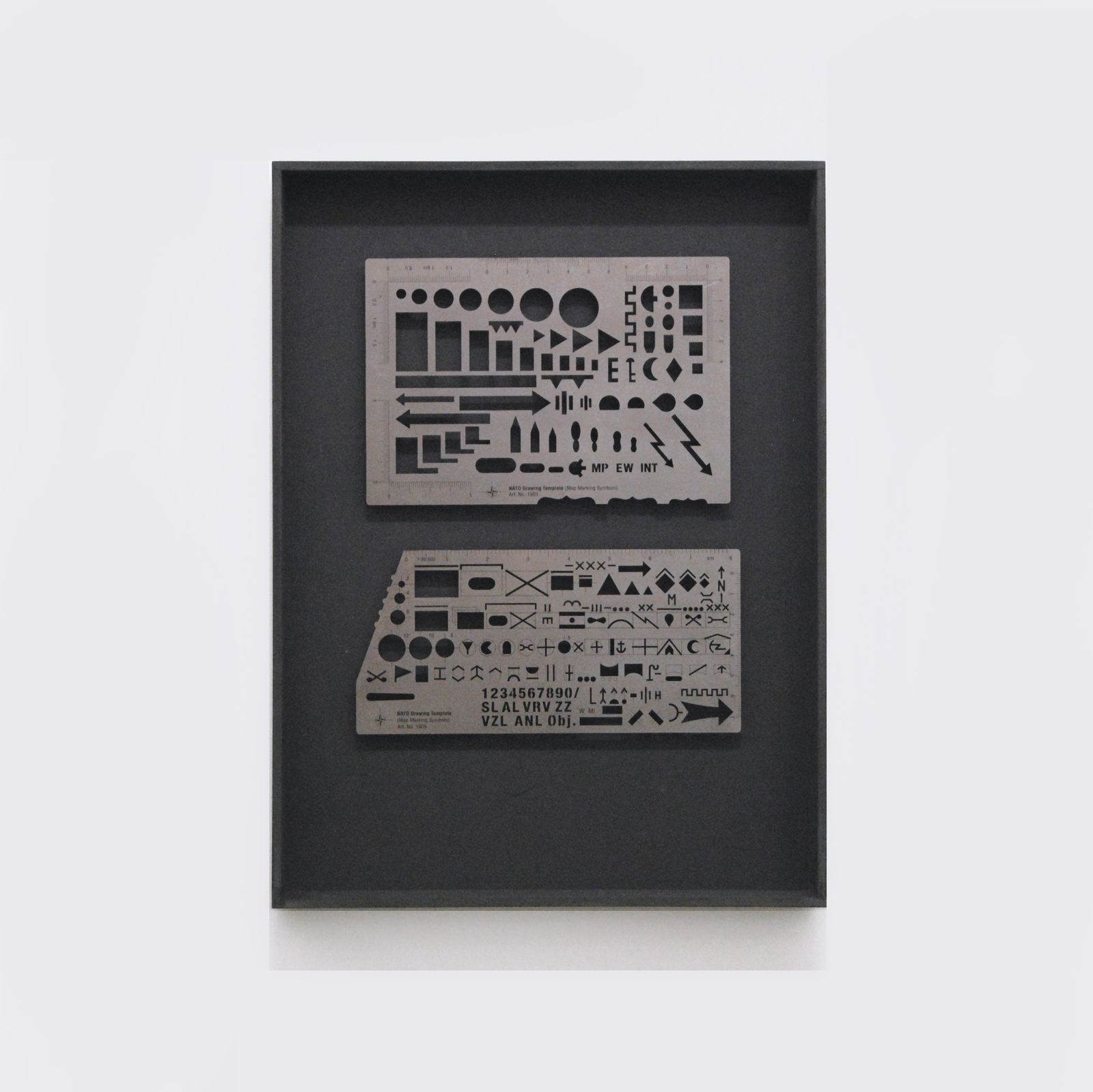 Alán Carrasco, Animus in consulendo liber [Espíritu libre para decidir]. 1949–2019, 2019