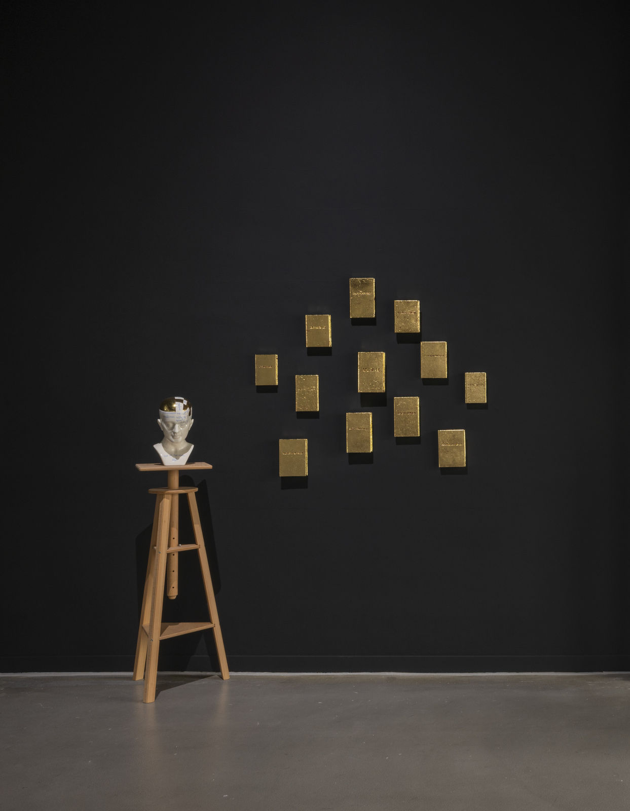 Avelino Sala, L'uomo delinquente, 2025