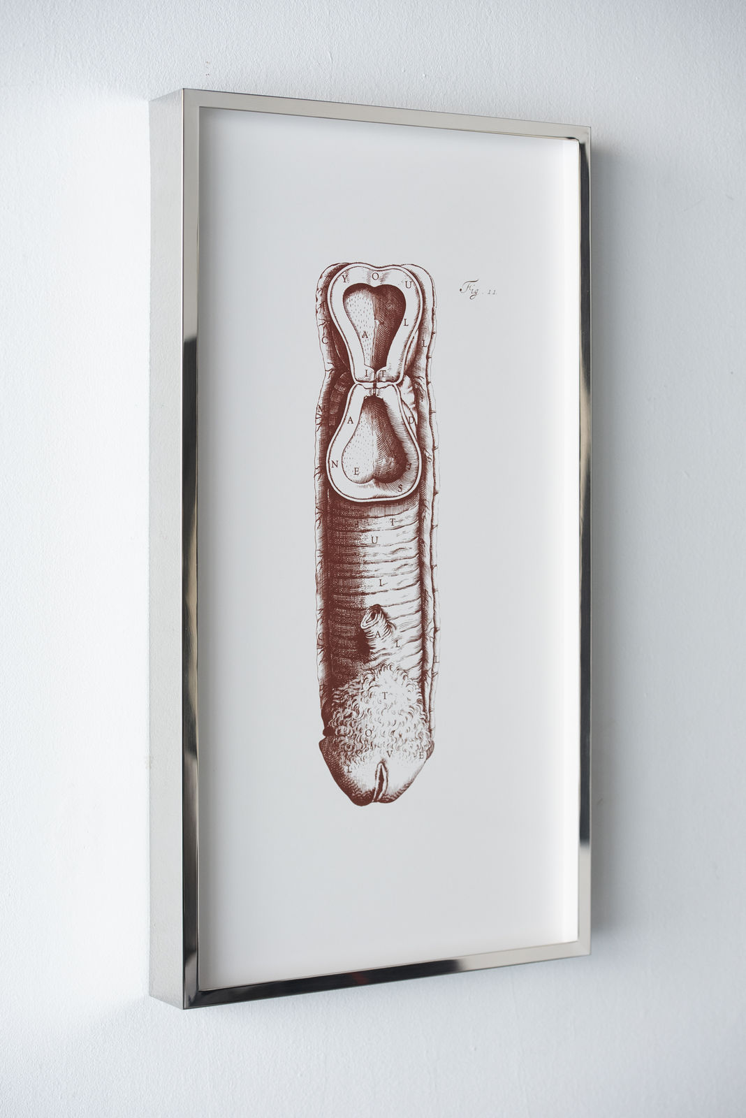 Carlos Aires, YOU CALL IT MADNESS BUT I CALL IT LOVE (VISCERAL EDITION), 2026