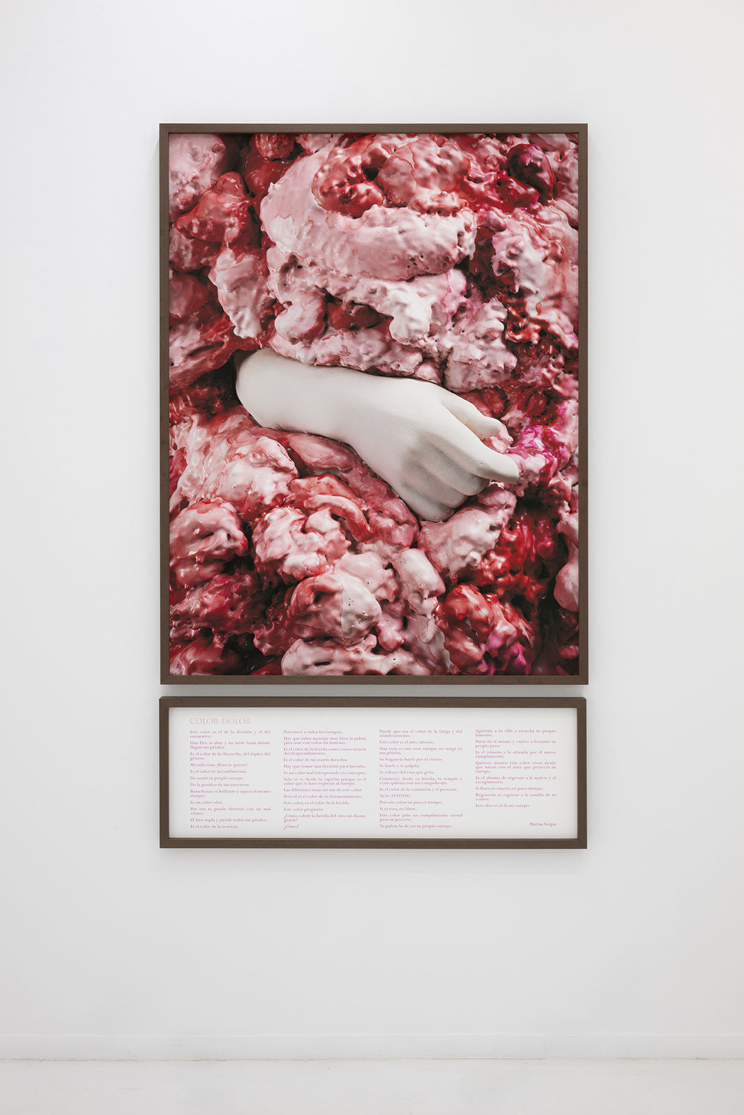 Marina Vargas, Color-Dolor, 2026