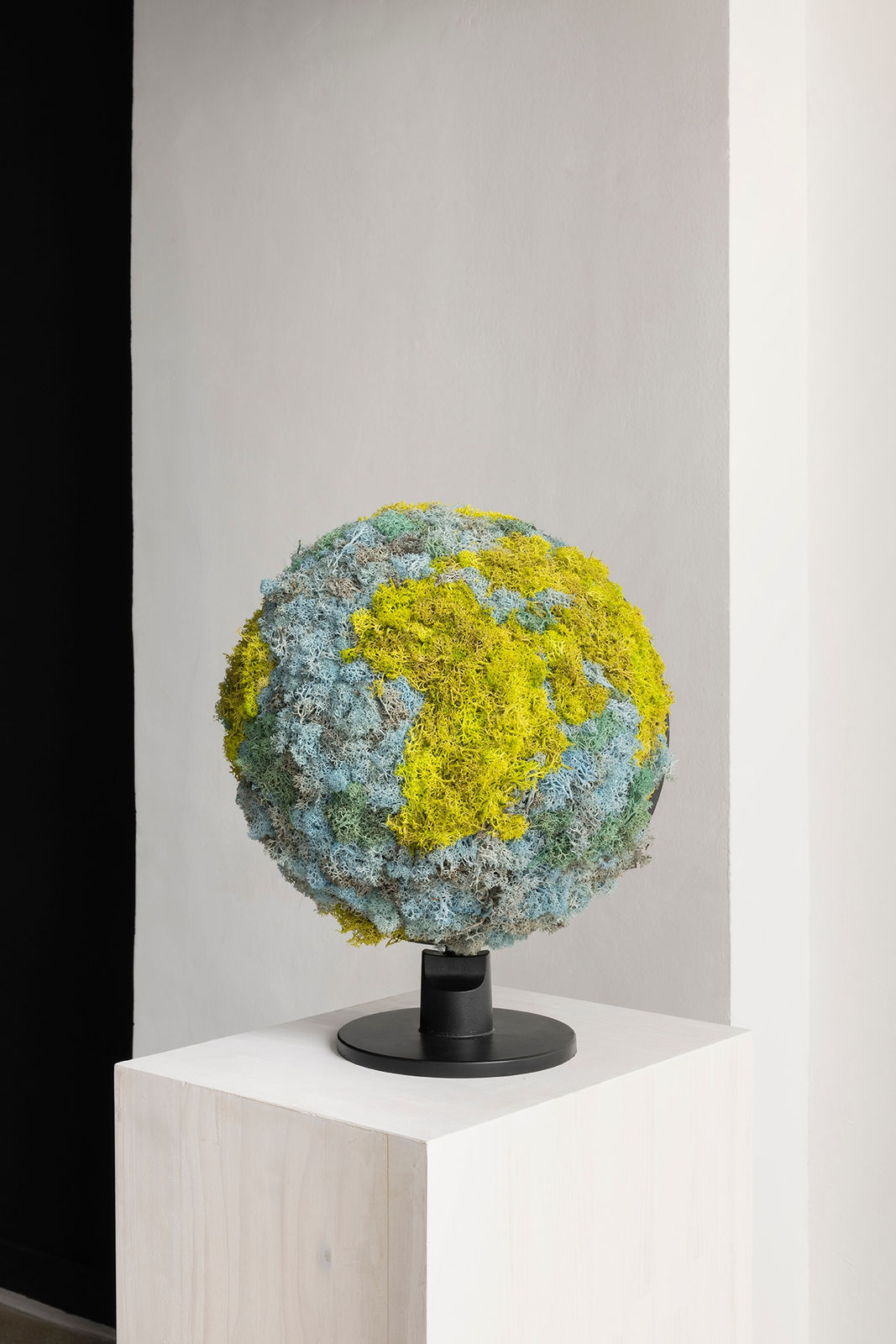 Avelino Sala, Naturaleza muerta, 2025