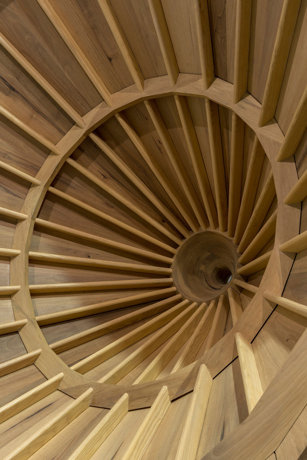 Marcos Ávila-Forero, Otra versión para Los Persas de Esquilo, 2017