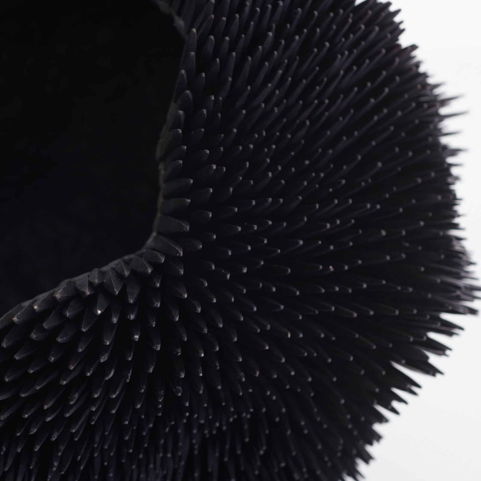 Junko Mori, Propagation Project; Straight Spikes, 2019