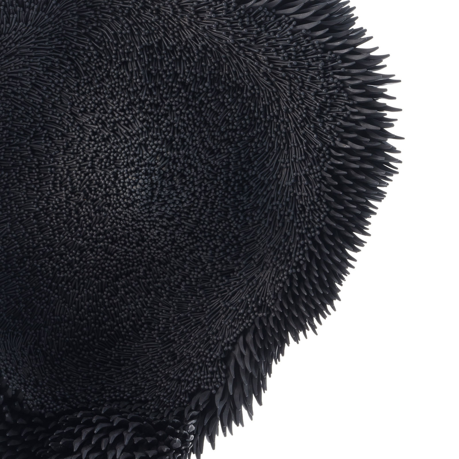 Junko Mori, Propagation Project: Fungi, 2025