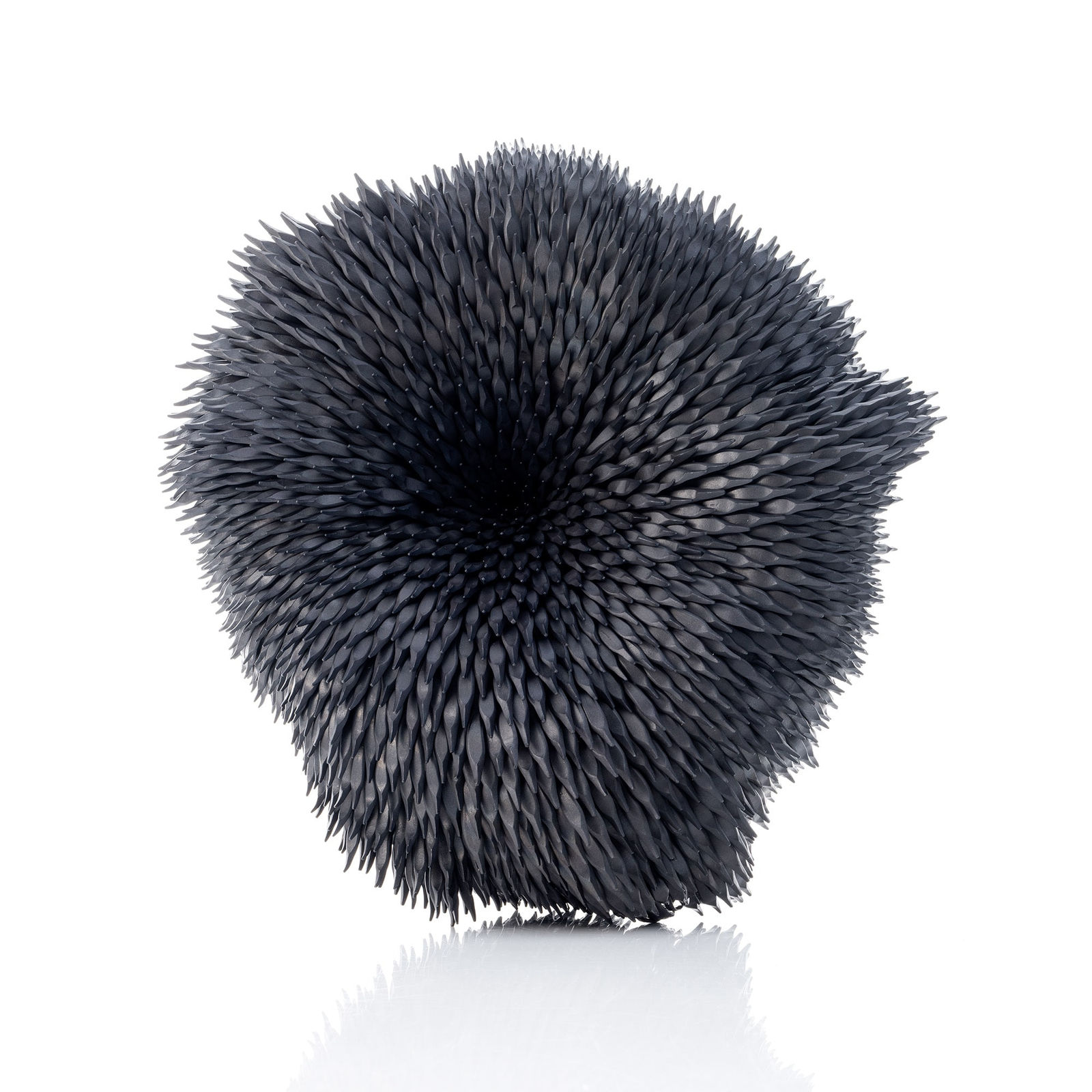 Junko Mori, Propagation Project: Fungi, 2025