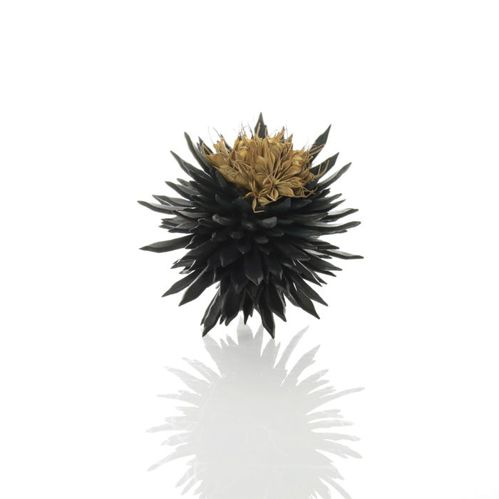 Junko Mori, Organism; Crystal Nigella, 2016