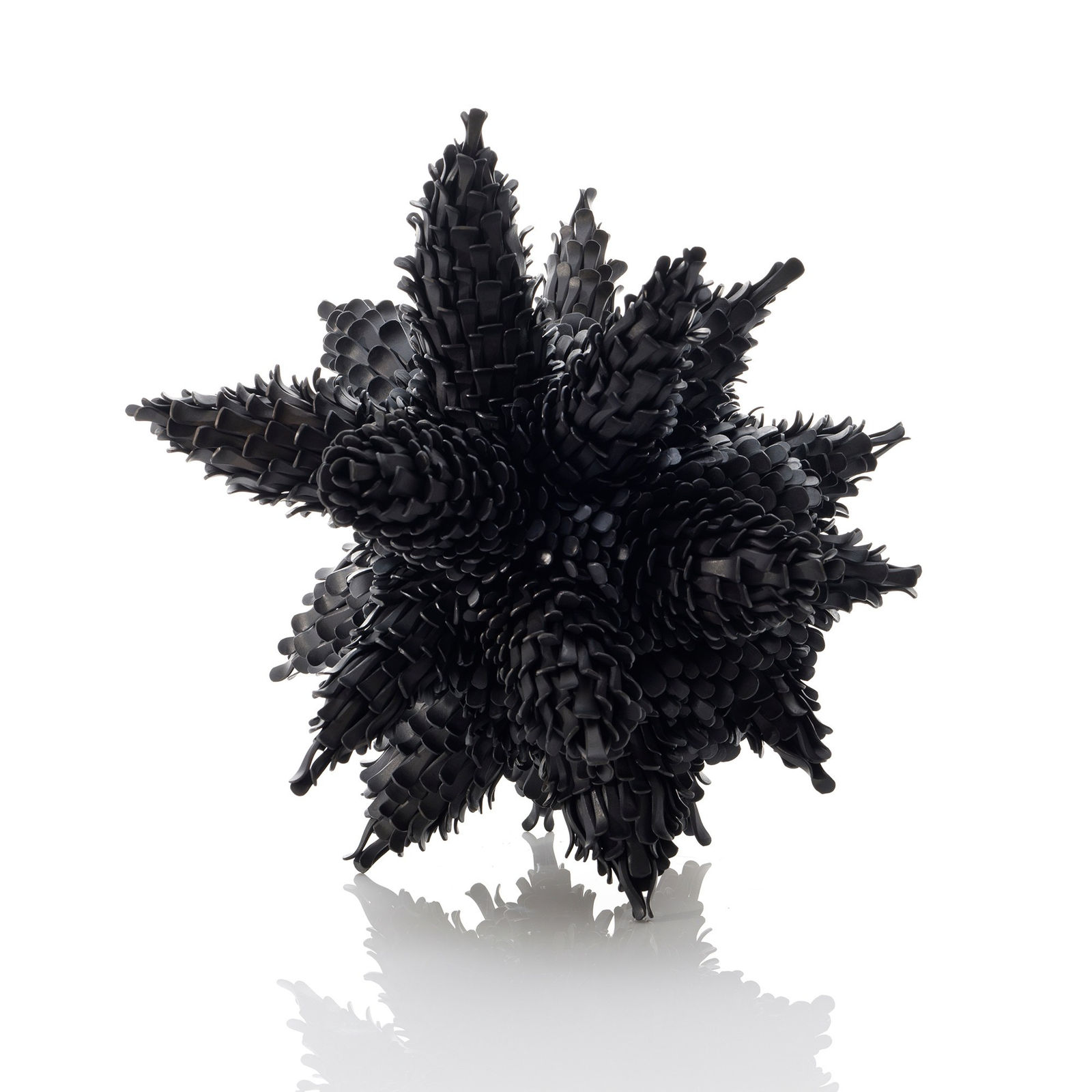 Junko Mori, Propagation Project; Multiple Pinecone, 2024