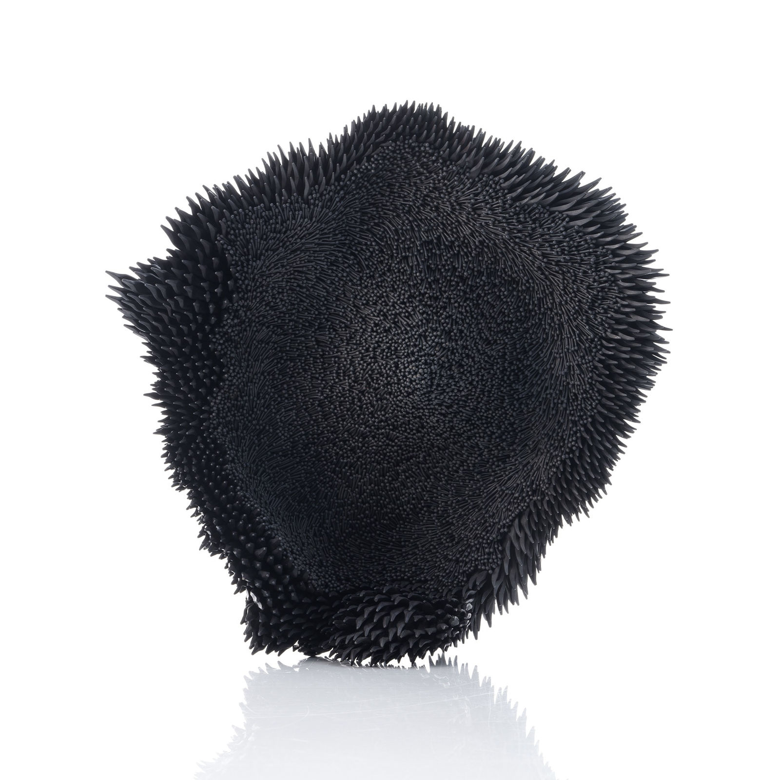 Junko Mori, Propagation Project: Fungi, 2025