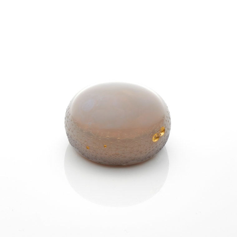 Toshiya Oguma, Network Box, 2022