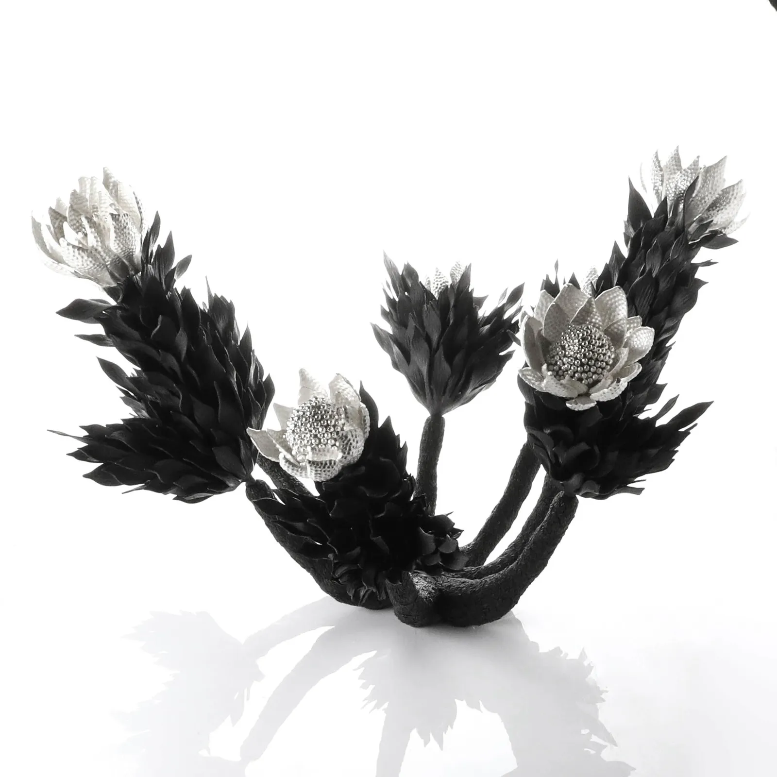 Junko Mori, Botany Series; Berries, 2019