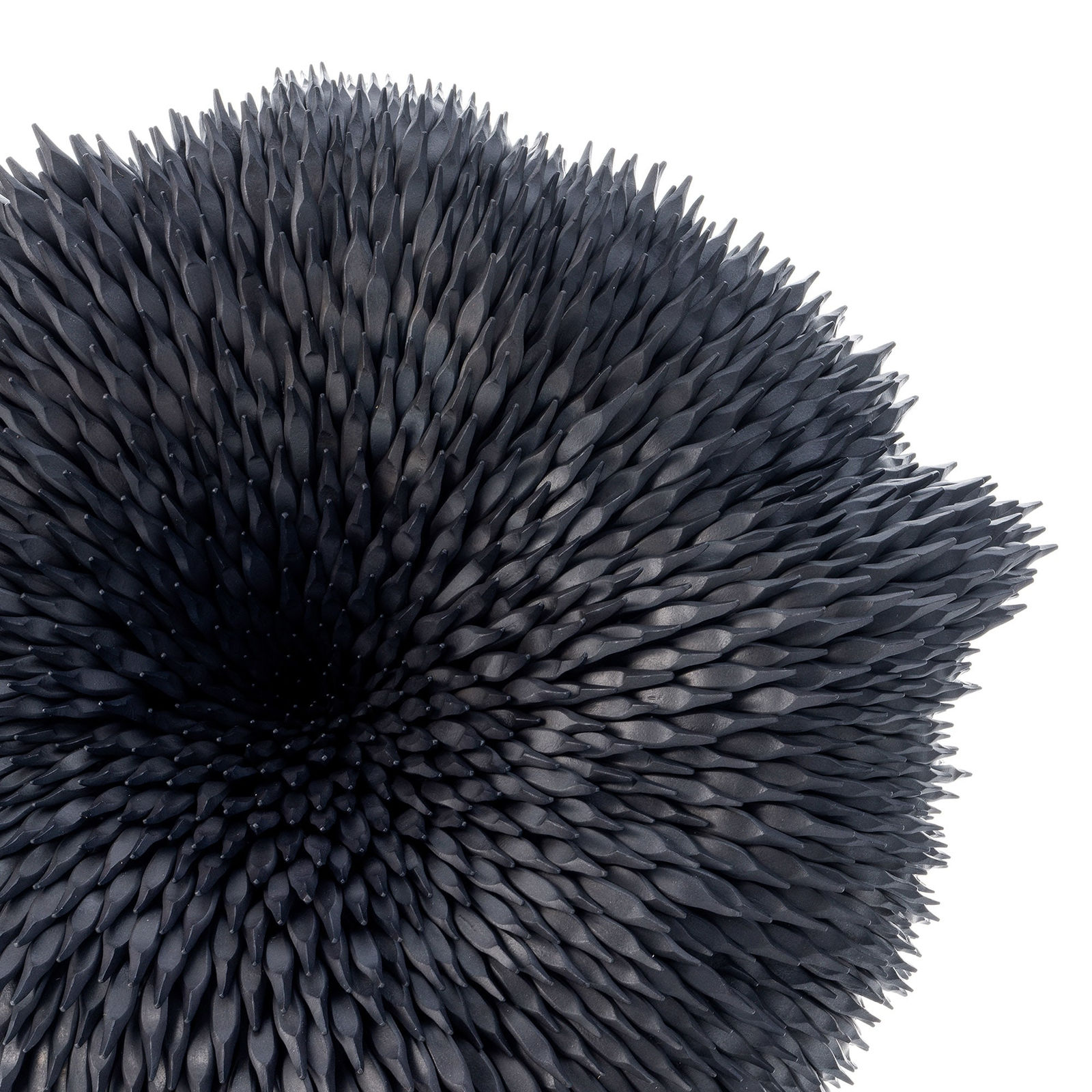 Junko Mori, Propagation Project: Fungi, 2025