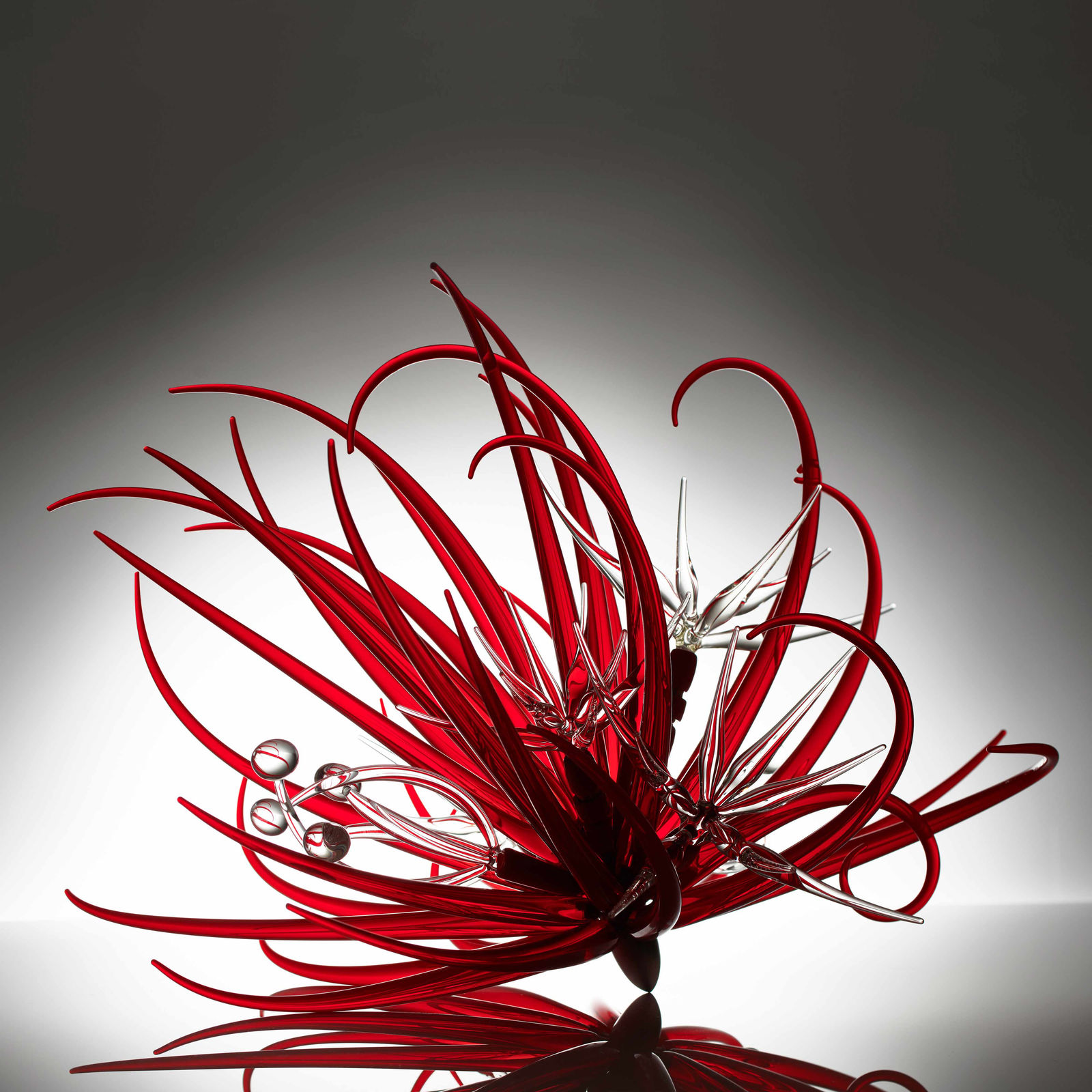 Neil Wilkin, Red Flower - Future Seen, 2018