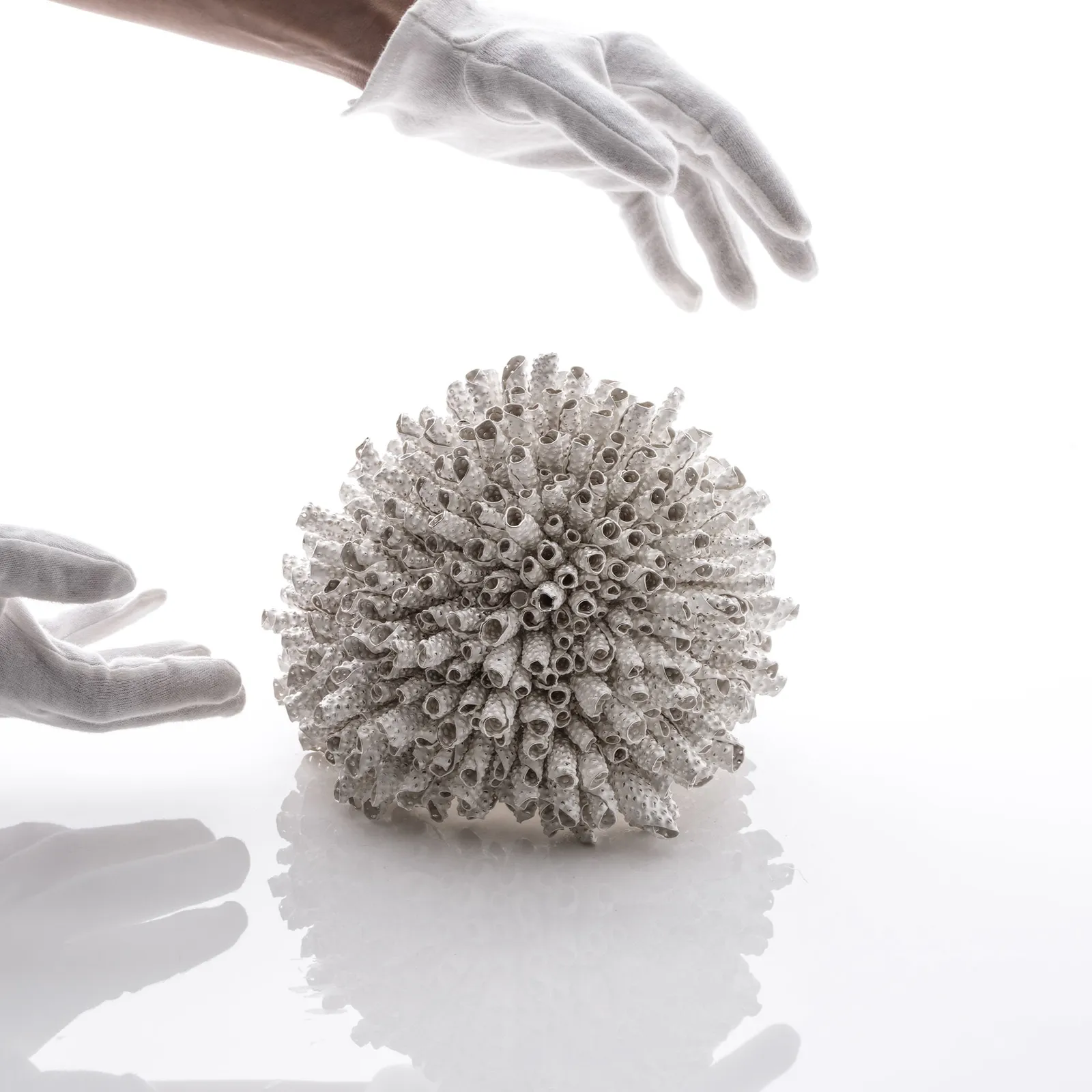 Junko Mori, Silver Organism, Conch, 2025