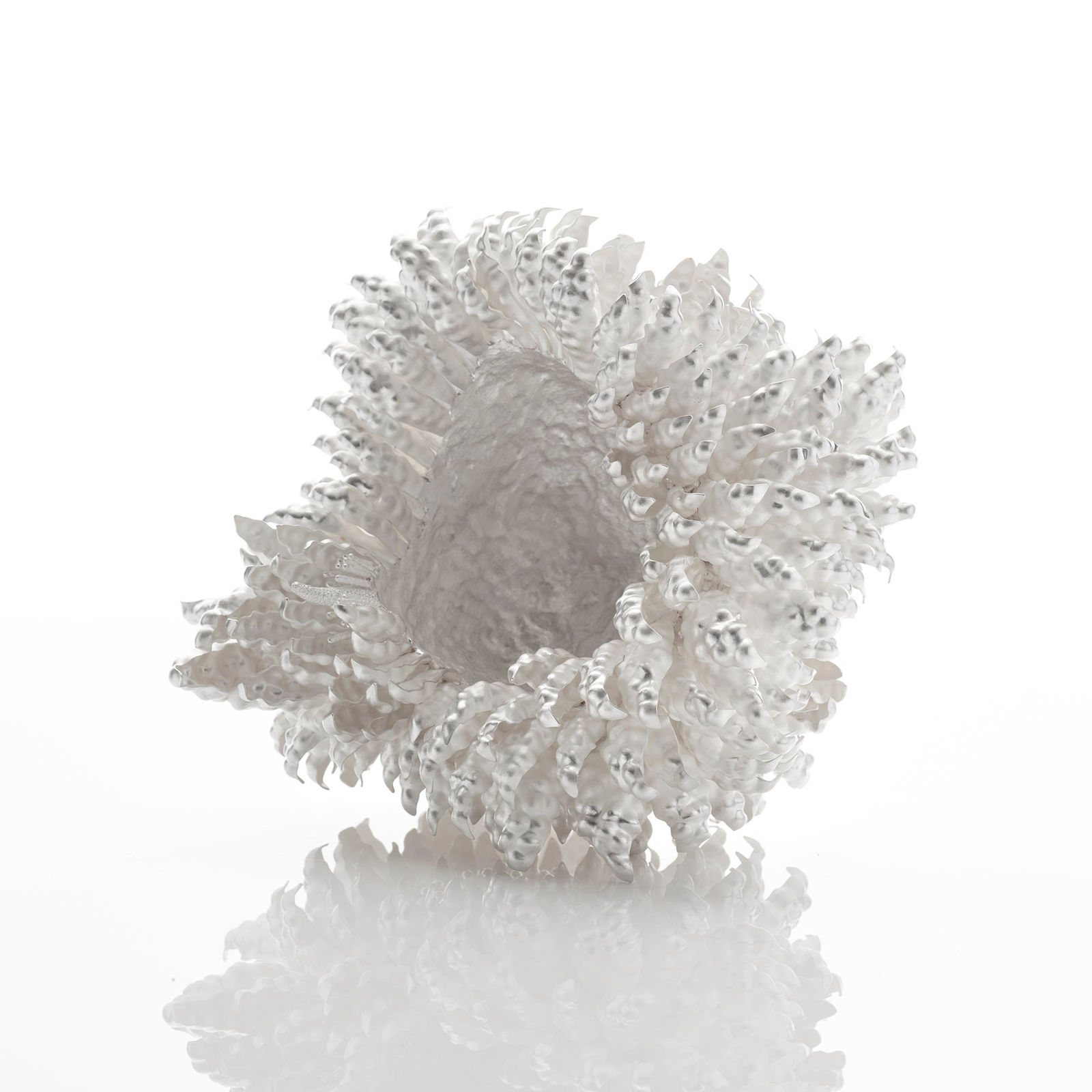 Junko Mori, Silver Organism, Citrus Medica, 2023