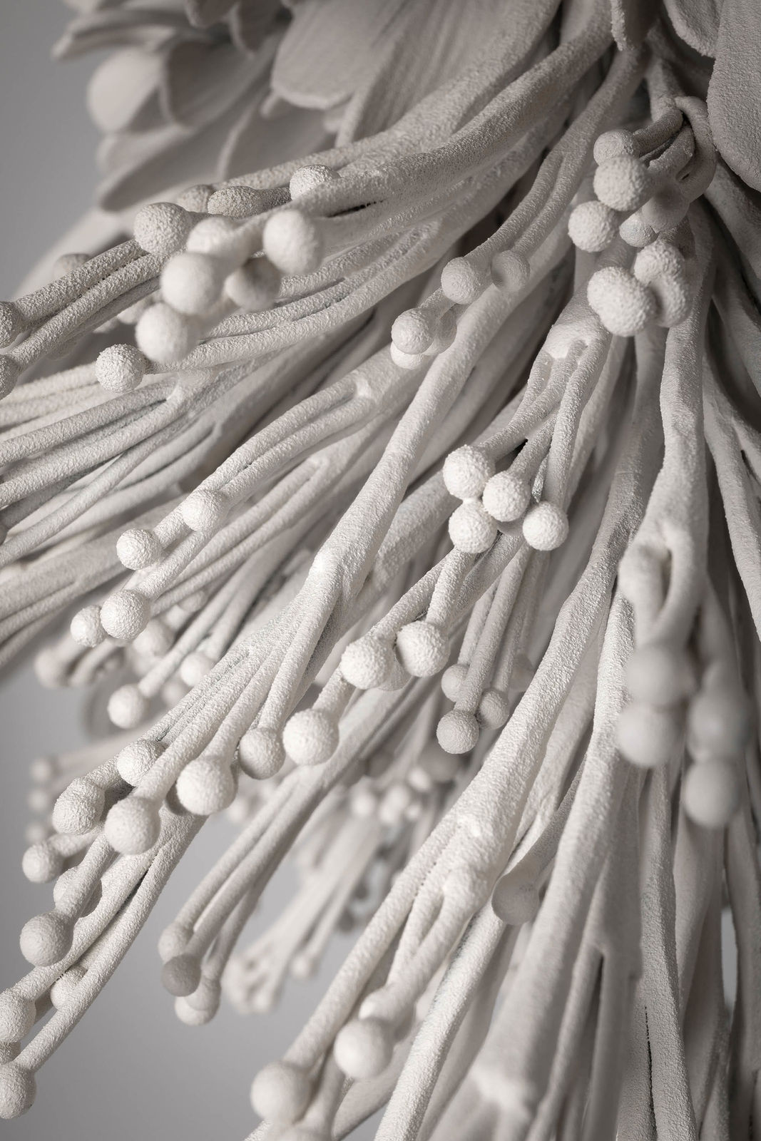 Junko Mori, Floating Chandelier; Pistia, 2024