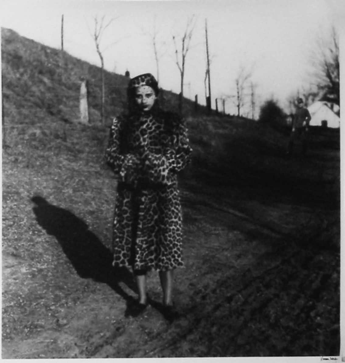 Vivan Sundaram, Distance, 2002