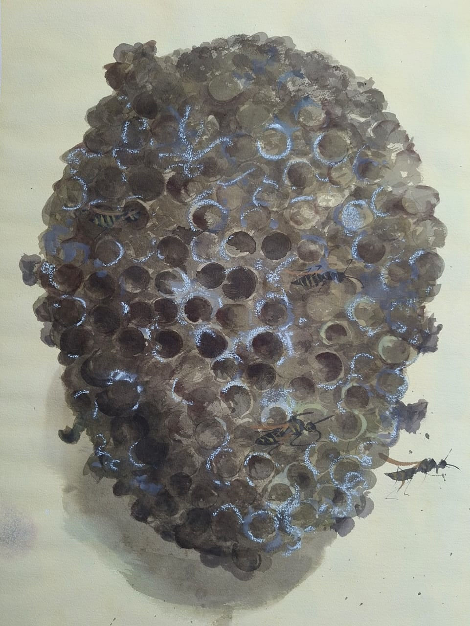 Shibu Natesan, Wasp Nest, 2025