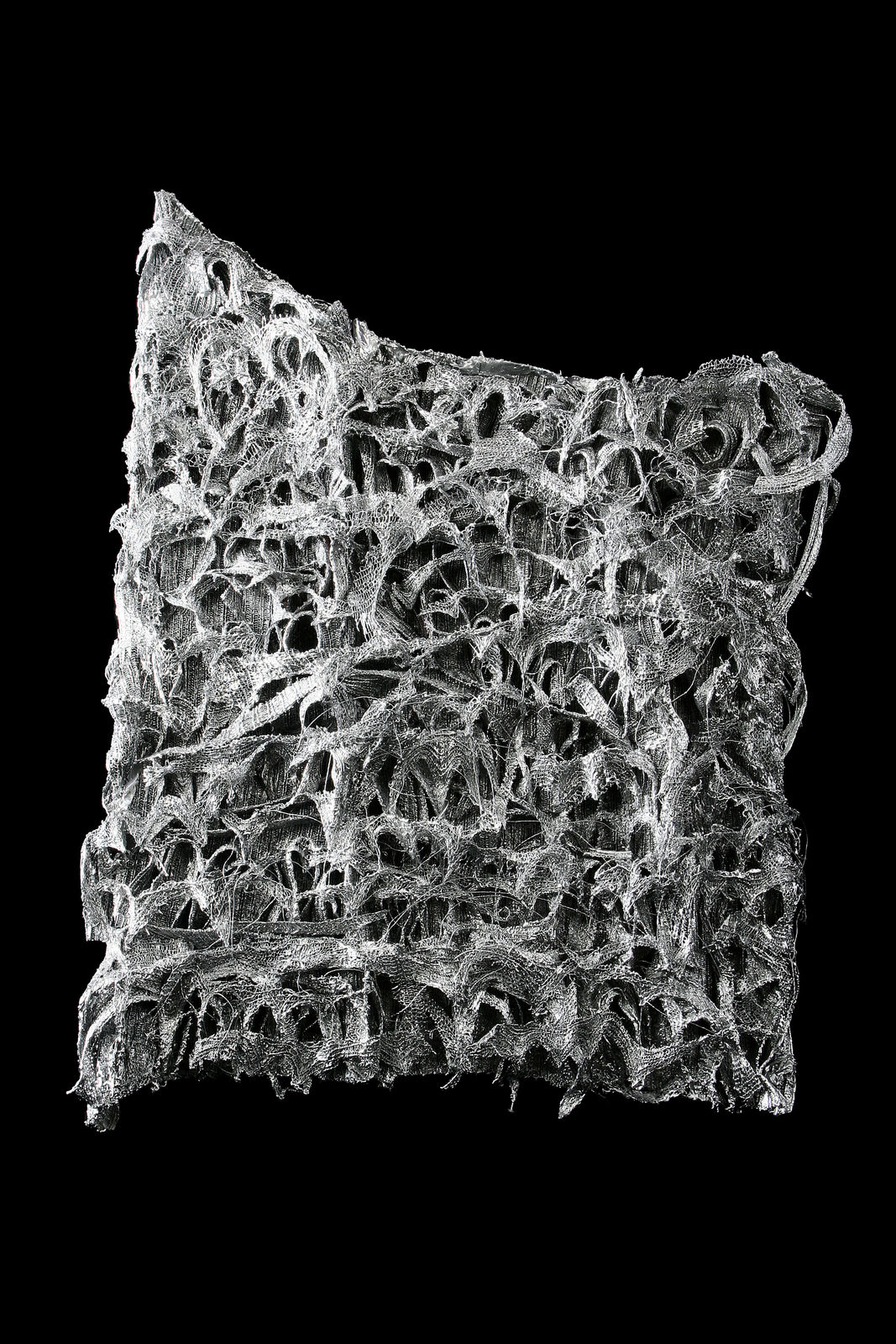 Bozena Kaluga, Venice, 2007