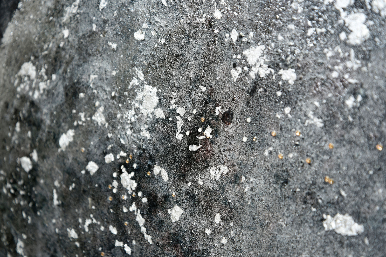 Agata di Masternak, Galaxy series Nb 8, 2016